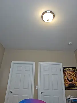 AmethystFoxx live