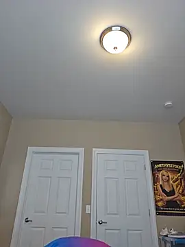 AmethystFoxx live