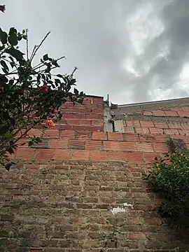 Emily_Gomezz live