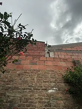Emily_Gomezz live