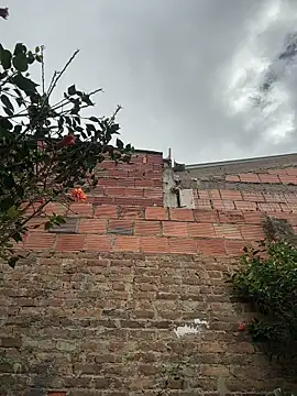 Emily_Gomezz live