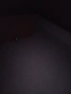 Hottiesophie live