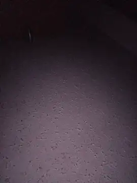 Hottiesophie live