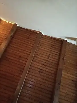 CurlyElisa live