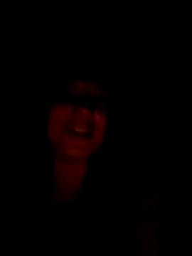 VanLifeVixen live