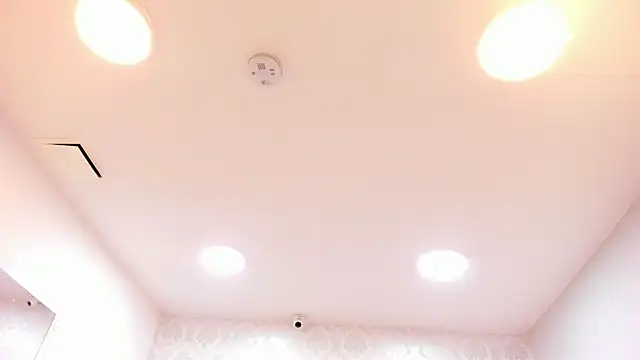 kitticam live