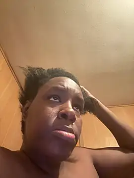 saltlightEmber live