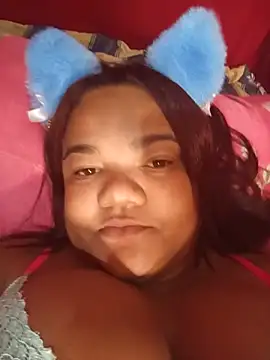 Meellcarioca live