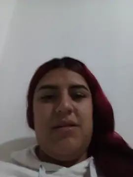 Hammy_st4 live