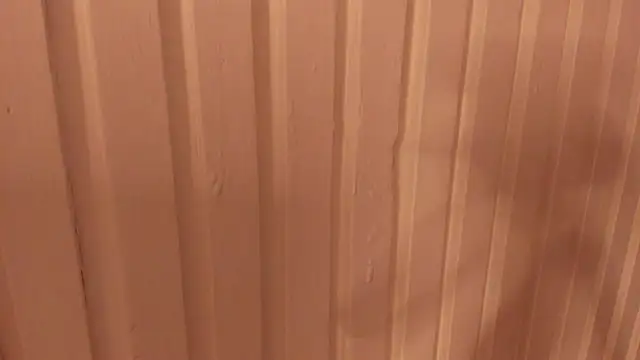 _maximo_1 live