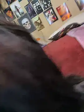 pinkybombon live