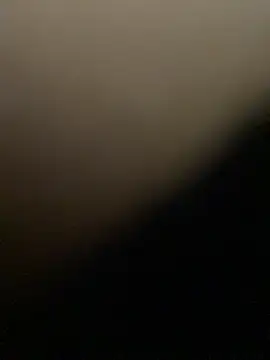 Abby_Zaf live