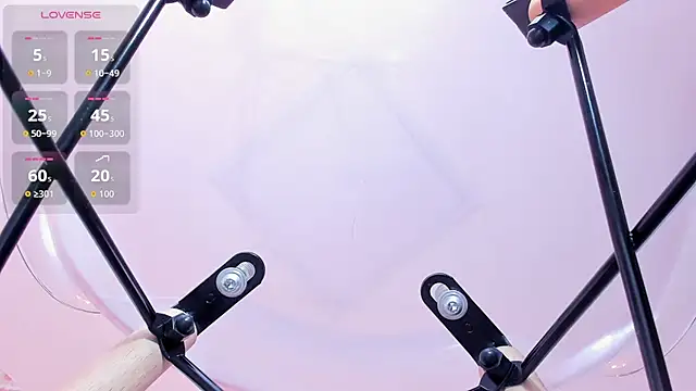 PALOMA_ALVES live