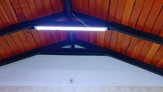Kelly_Swift live