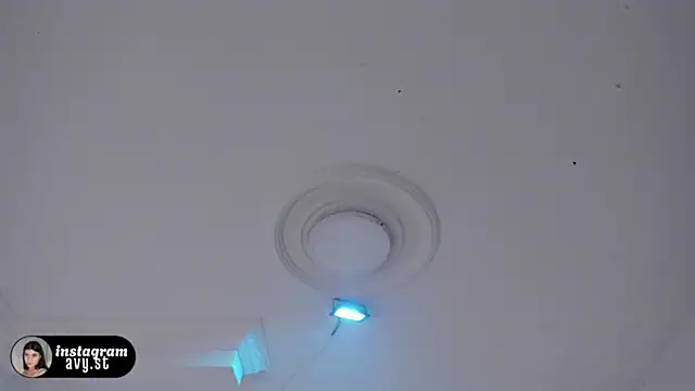 avy_st live