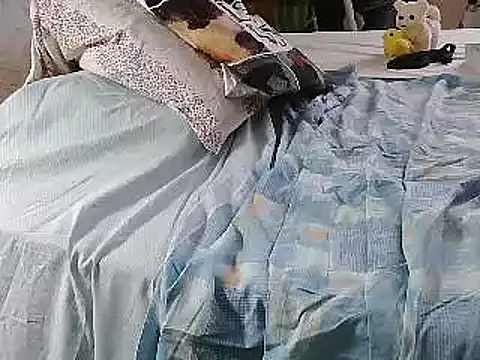 VeneRed live