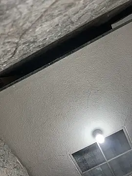 MELIZ_QUEEN live