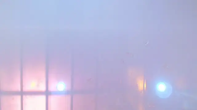 lina_bedoya_ live