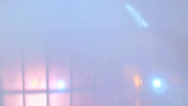 lina_bedoya_ live