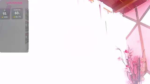 Belinda_lane live