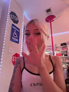 Terribletabby live