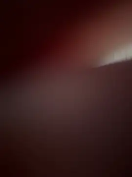 LiaObrien live
