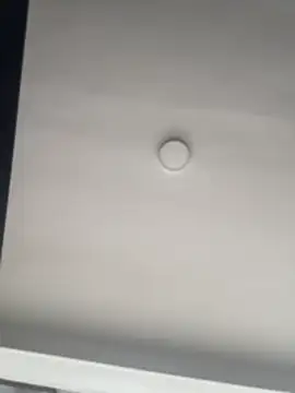 Mely_ec live