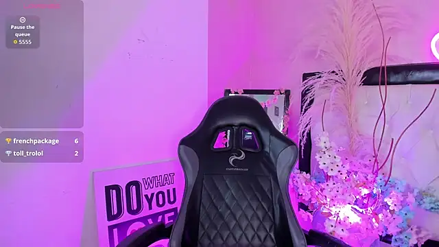 Siena_fox live