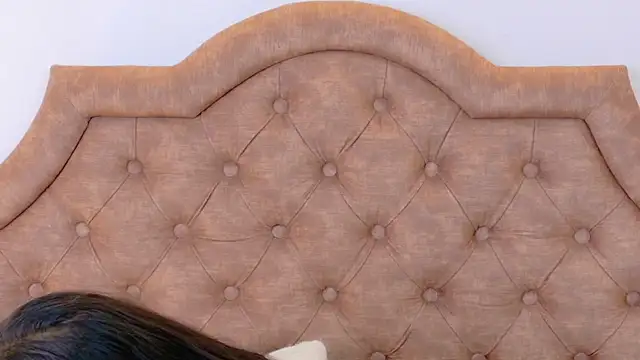 SophiaCollinss live