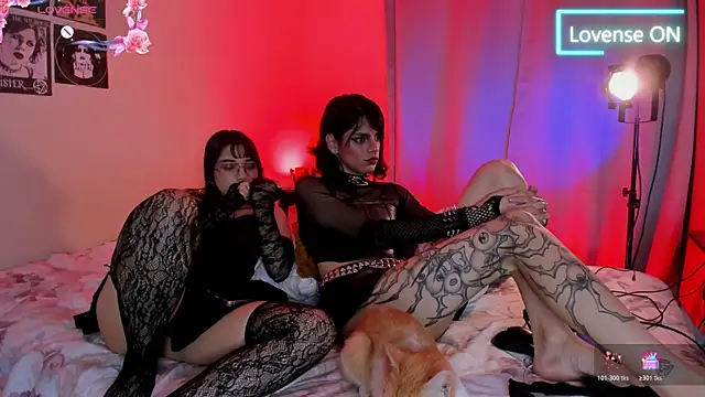 JuneVelvet live