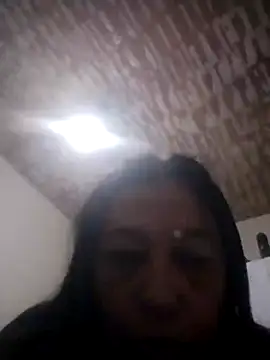catdool live