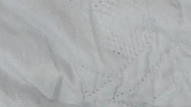 Camiila_Osorio live