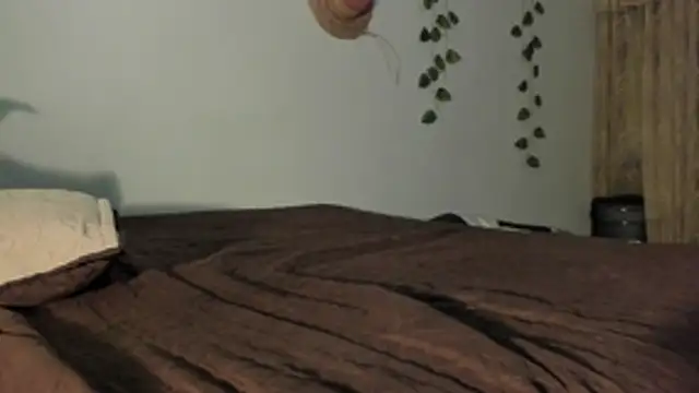 bonie_lov live