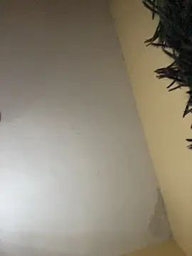 im_Emily_LS live