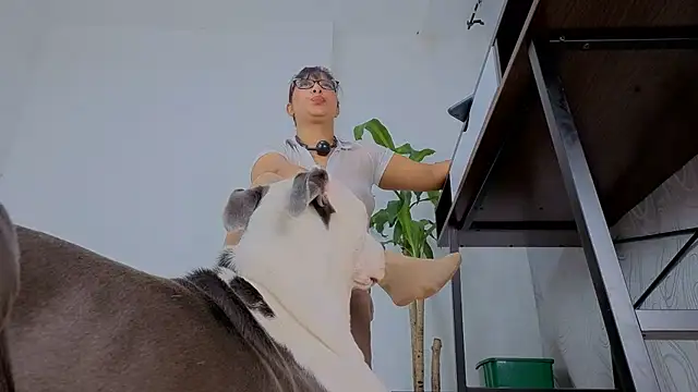 Mariana_Lu live