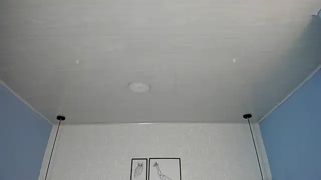 ninna_curly live