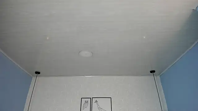 ninna_curly live