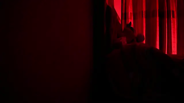 CamilaVenz live