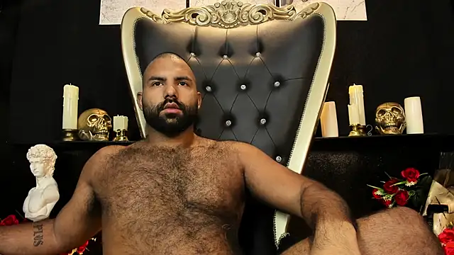BeardAndrew live