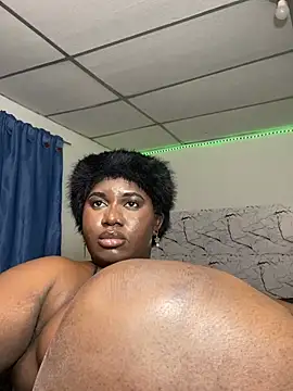 DILAY_XXX live