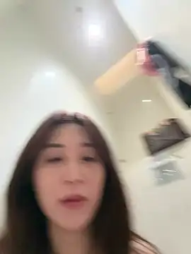 KK-328 live