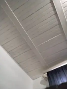 gabii_hardy live