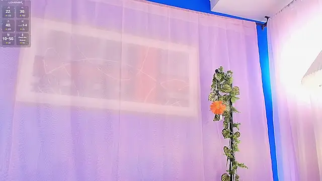 liccy_hall live