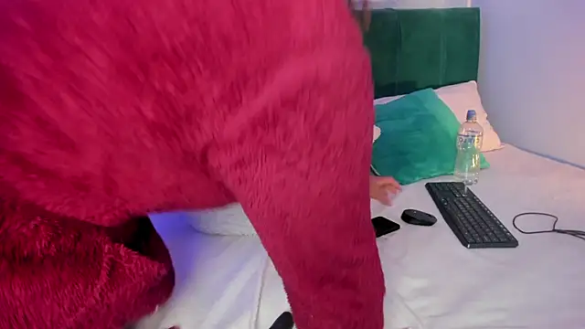ninna_curly live