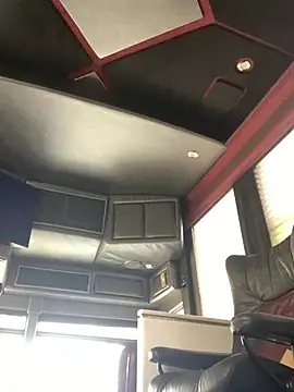 Phattpinktaco live