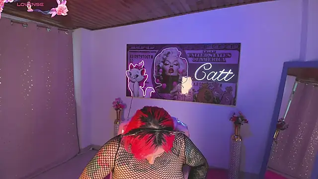 catt_monroe live