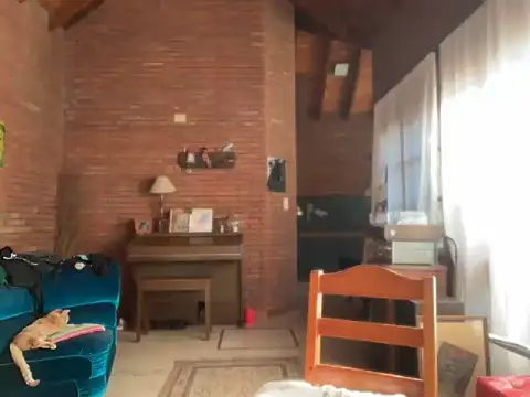 Kydagasha live