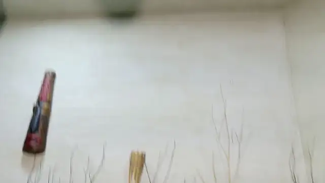 AlanCutee profile