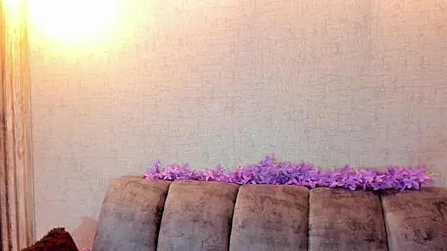 Siena_fox live