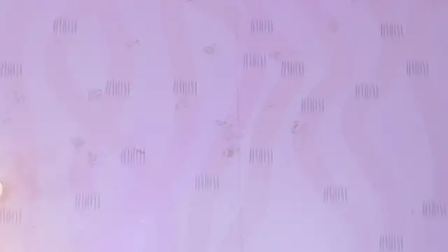 ThinPrincesss live